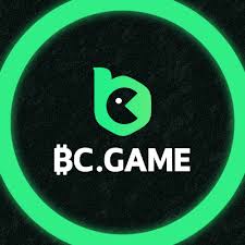 Panduan Lengkap BC.Game Crash ID untuk Pemula